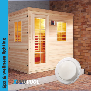 Sauna steam room led Ceiling Lamp RGB