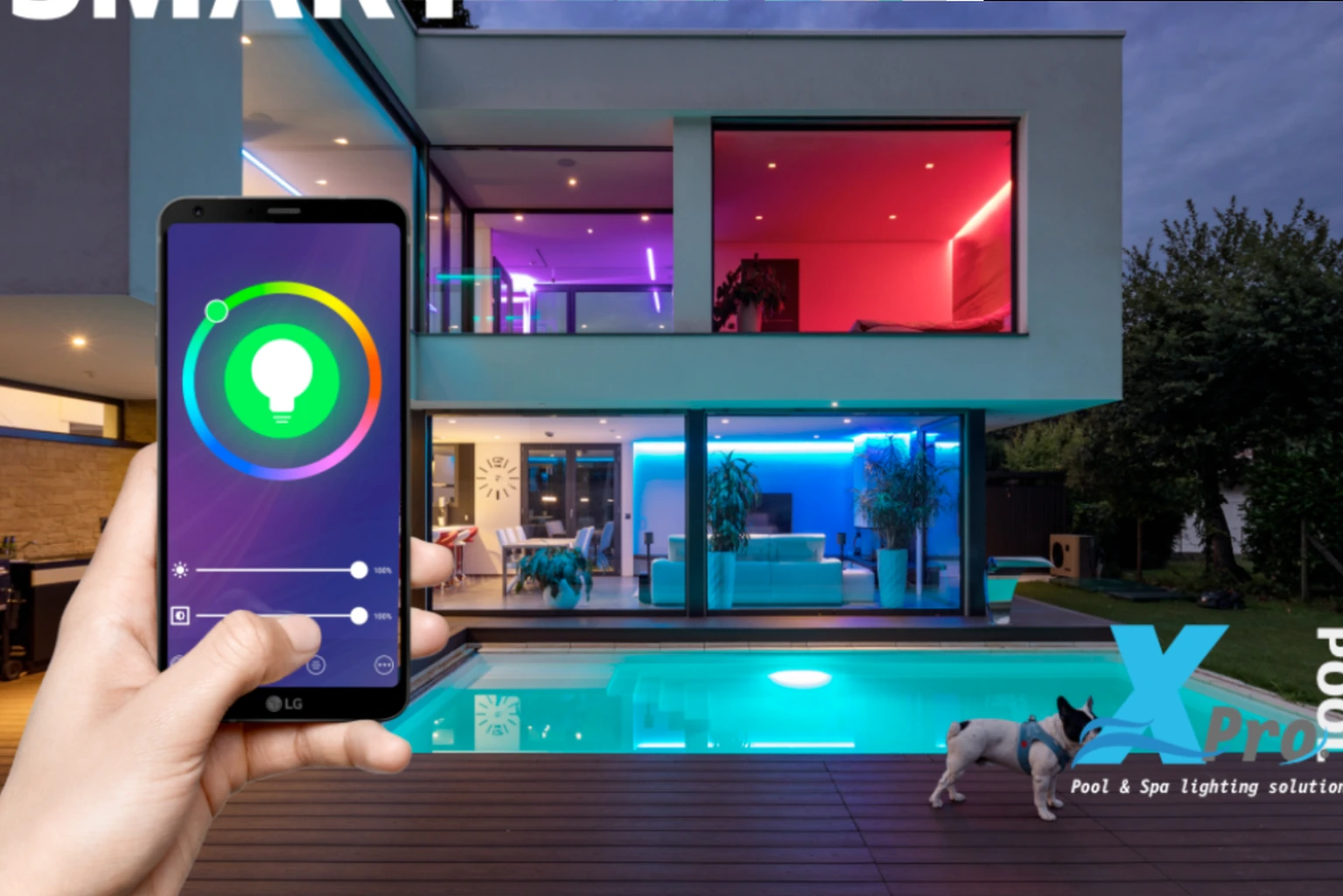 Verwandeln Sie Ihren Pool mit intelligenten Poolbeleuchtungen